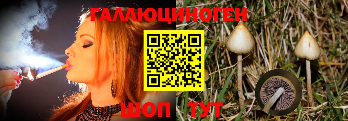 Псилоцибиновые грибы ЛСД  Вход с VPN  Донской 